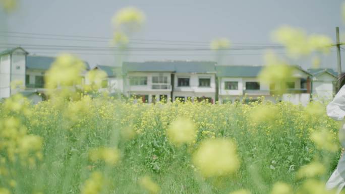 老师学生在油菜花田里奔跑