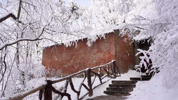 秦岭美丽的雾凇雪松美景26