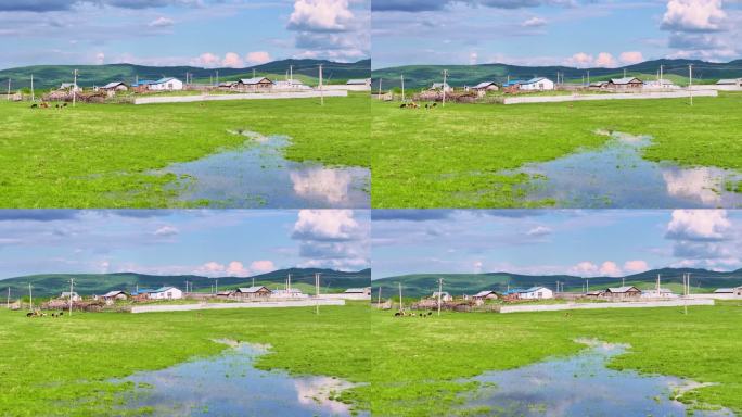 湿地 生态 牧场 小屋