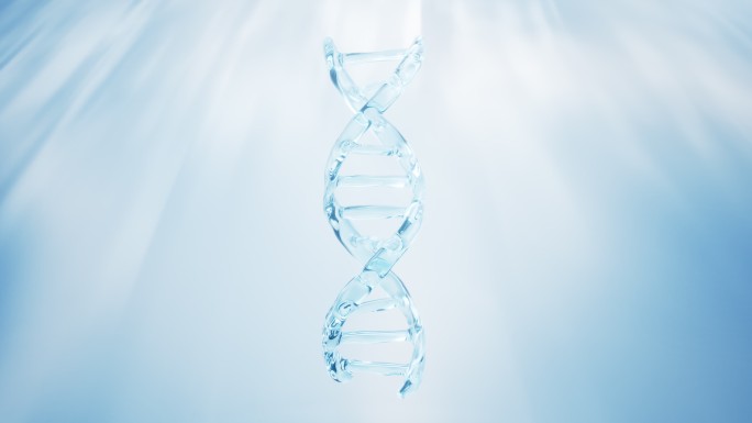 生物科技概念透明DNA与蓝色背景3D渲染