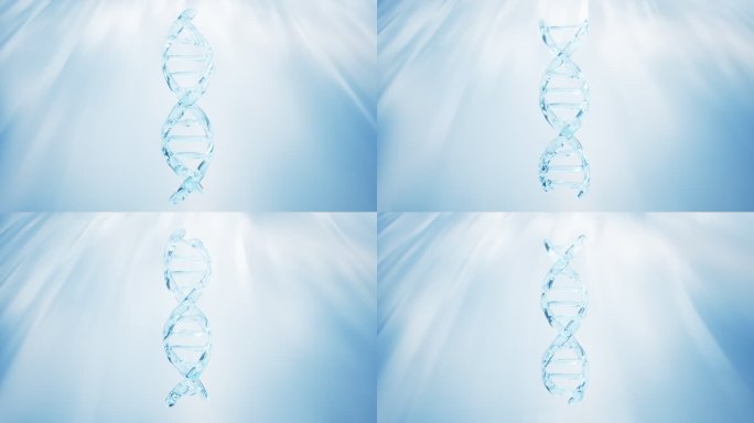 生物科技概念透明DNA与蓝色背景3D渲染