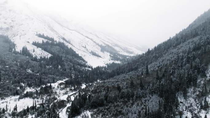 川西四姑娘山 双桥沟 雪山 下雪 雪景