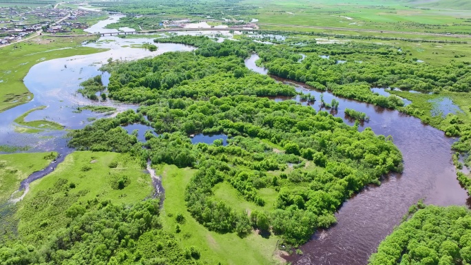 呼伦贝尔额尔古纳湿地