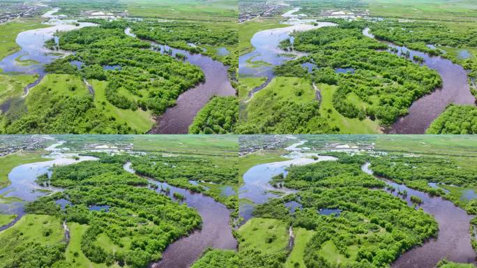 呼伦贝尔额尔古纳湿地