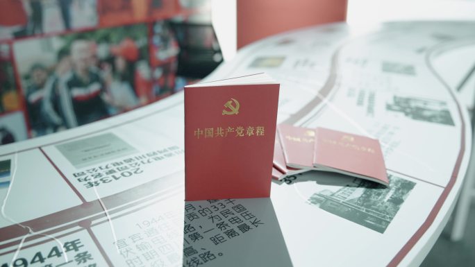 党徽党章党员学习中国共产党章程4k视频
