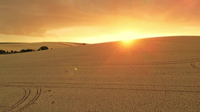 空中金色黄昏:摩拉维亚地区无尽麦田的日落无人机镜头。鸟瞰图