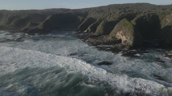 智利南部海岸瓦尔迪维亚海岸保护区的粗糙海岸。