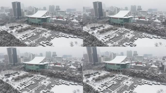 湖北剧院雪景