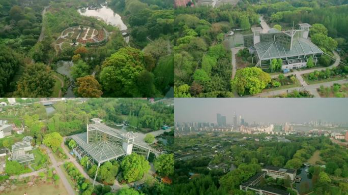 4k航拍上海植物园