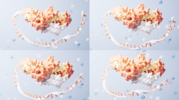 生物科技概念RNA基因3D渲染