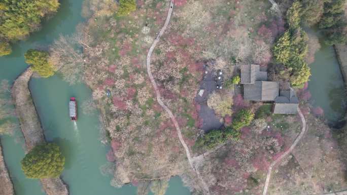 （灰片4K）杭州西溪国家湿地公园曲水寻梅