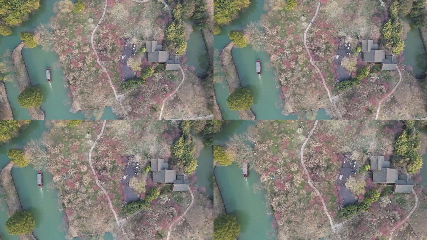 （灰片4K）杭州西溪国家湿地公园曲水寻梅