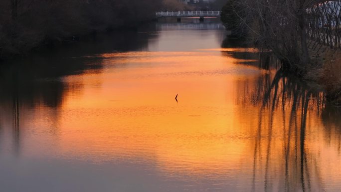 航拍乡村振兴龙型丁达尔光效河流鸟群夕阳