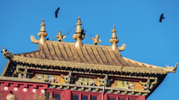 一群乌鸦在寺庙上空盘旋