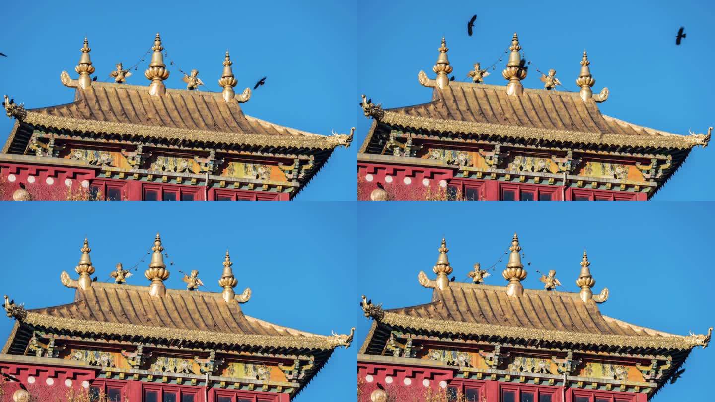一群乌鸦在寺庙上空盘旋