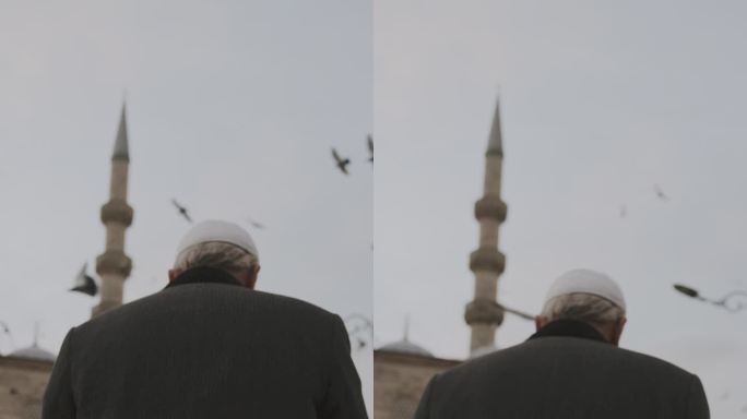神圣的到来:老人在清真寺的鸽子中走过广场#清真寺入口#鸽子飞行