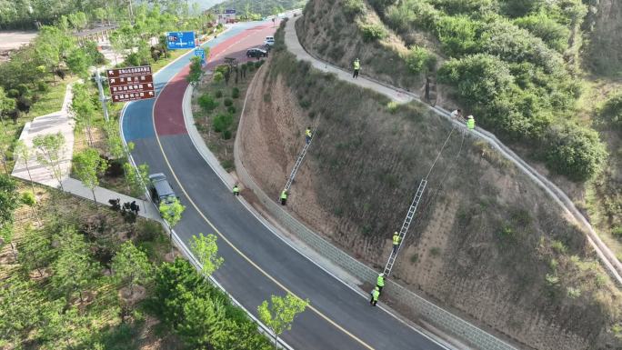 绿化施工青山 生态科技植被