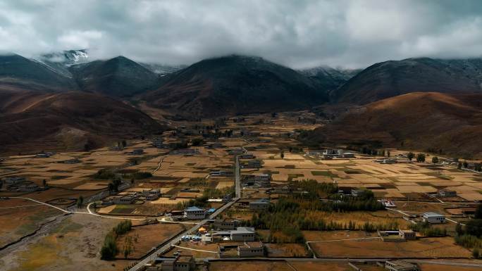 藏区川西牧场