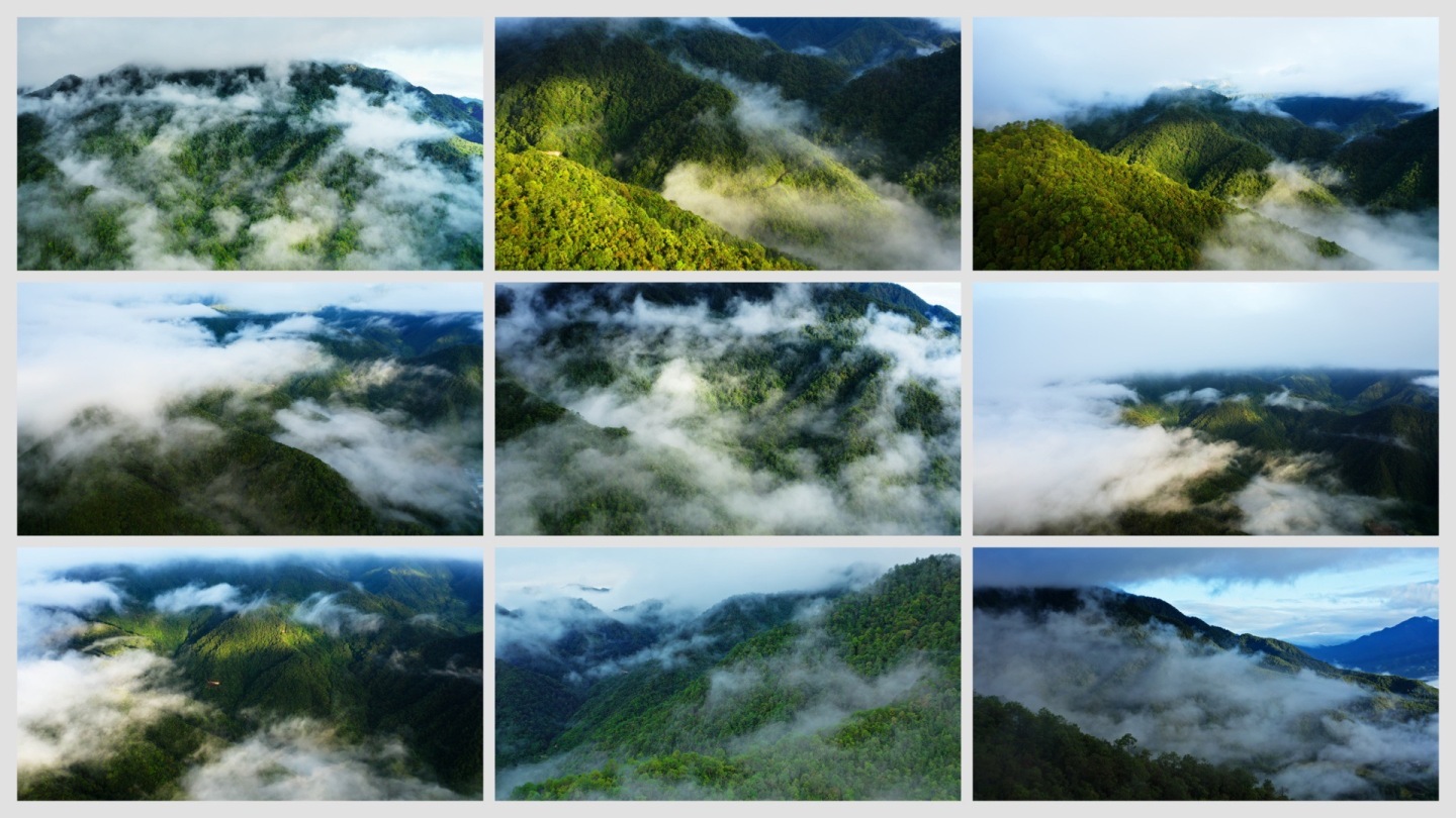 雨后阳光打在云雾缭绕的高山森林上