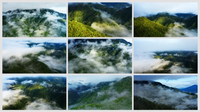 雨后阳光打在云雾缭绕的高山森林上