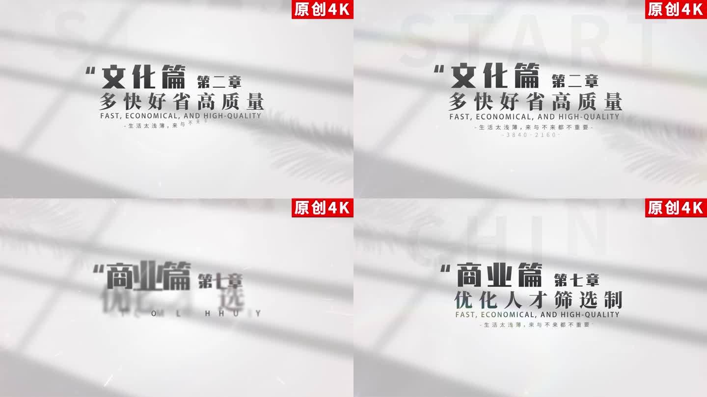 【原创】干净明亮极简文字商务标题4K