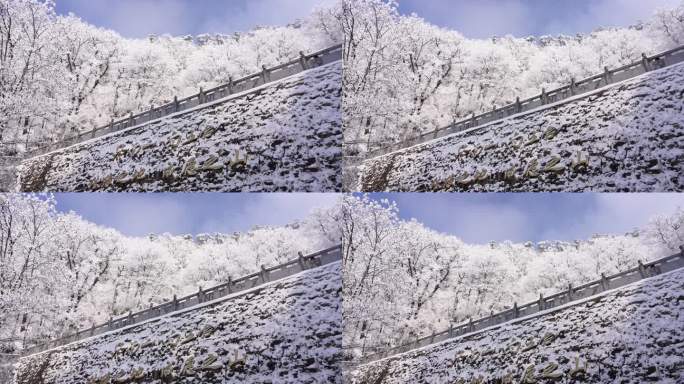 秦岭美丽的雾凇雪松美景9