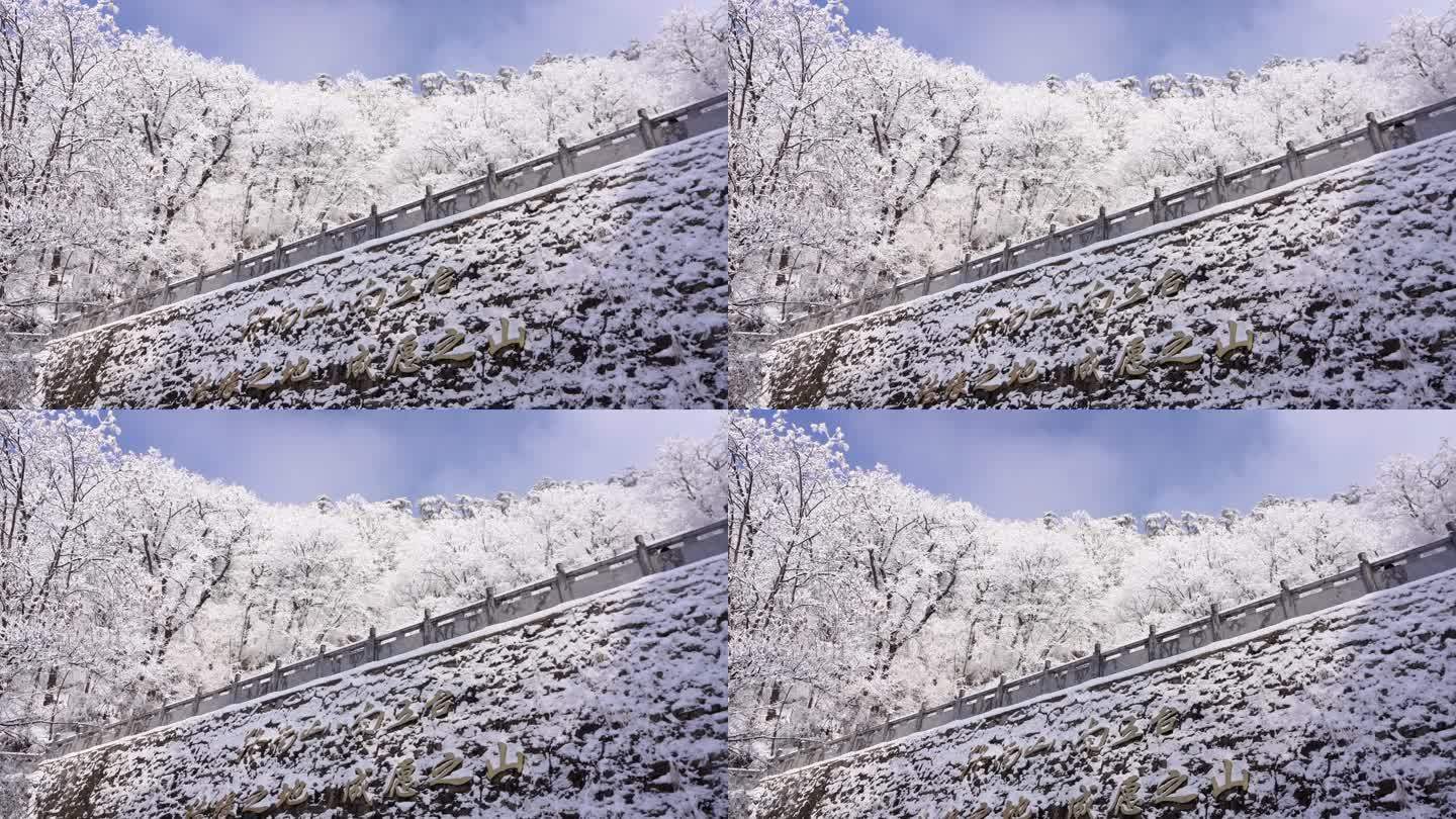 秦岭美丽的雾凇雪松美景9