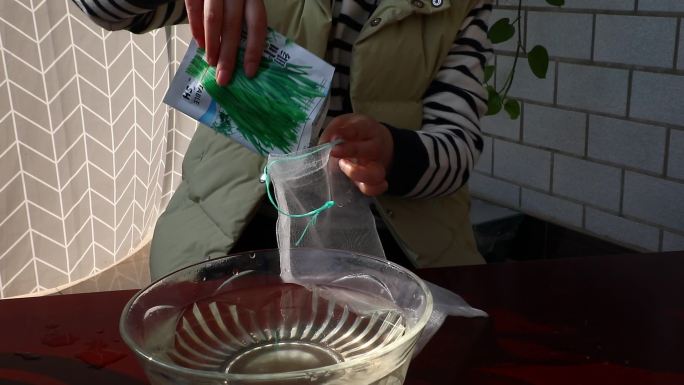 韭菜种子 包装袋 种子倒入网袋 温水浸种