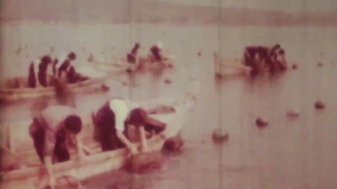 70年代 水产 海产养殖