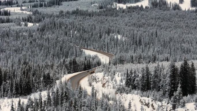 库特奈家的常绿斗篷:雪林场景