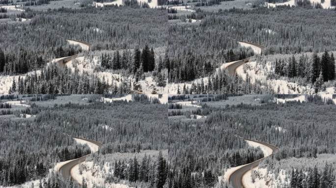 库特奈家的常绿斗篷:雪林场景