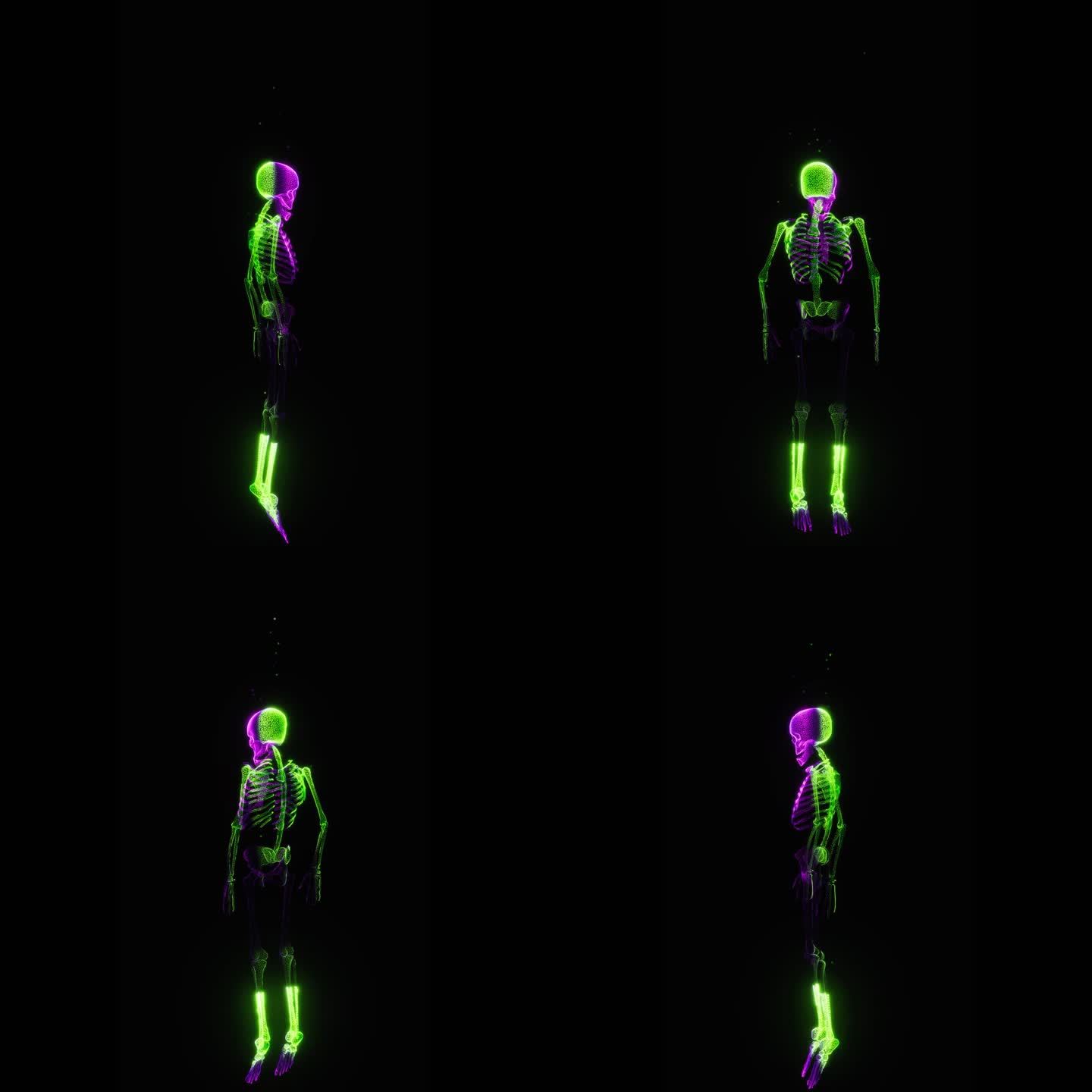 全息骨骼投影 旋转循环动画11（带通道）