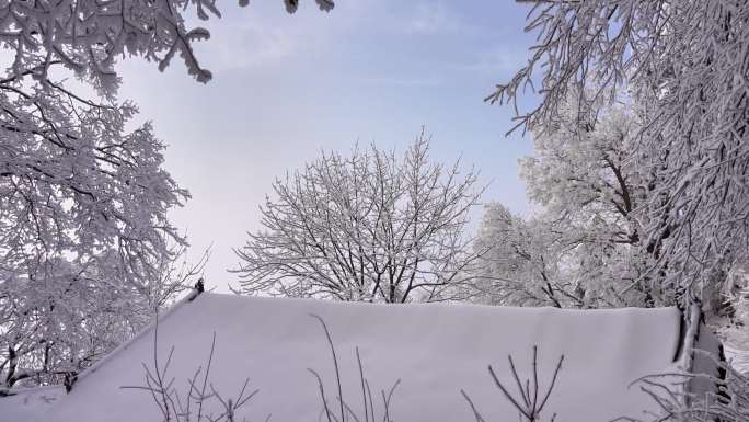 秦岭美丽的雾凇雪松美景27
