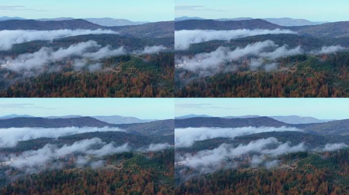 建立鸟瞰图波兰维斯拉，浓雾爬过贝斯基迪山脉的秋天林地山谷