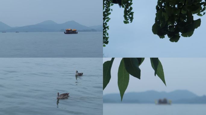 阴雨西湖