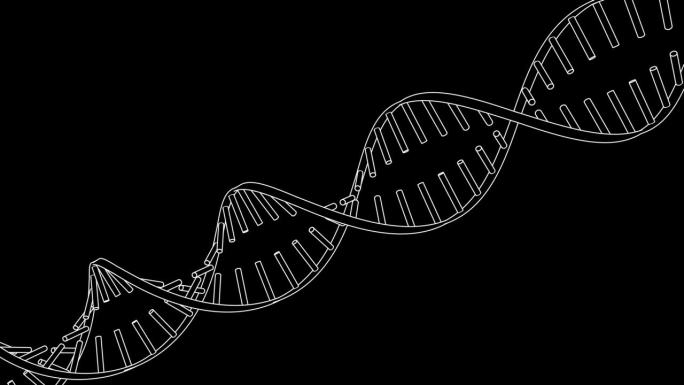 黑白DNA螺旋图形用户界面元素的信息图表在电影，电影和动画线条笔画平面设计风格