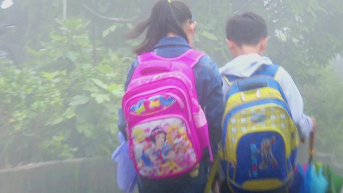 农村孩子背着书包去上学的背影