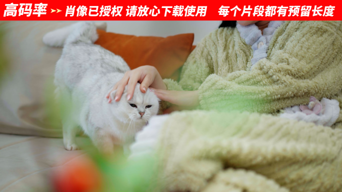 午后悠闲惬意居家沙发美女互动撸可爱猫咪