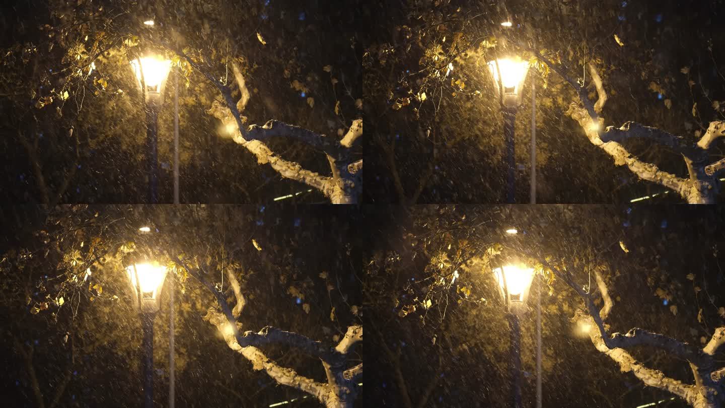 下雪夜路灯