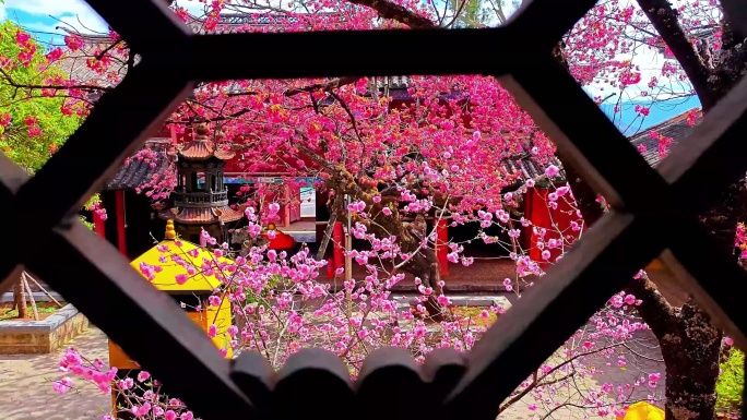 丽江普济寺