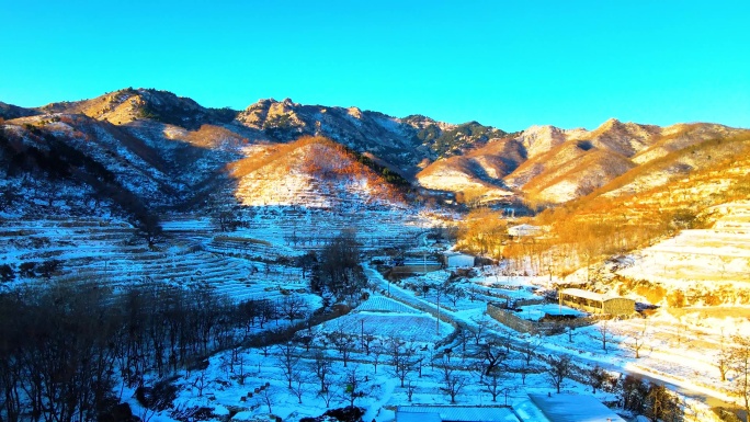 东北农村早晨雪景航拍   倒退镜头