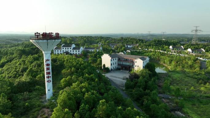 宁乡花猪产业发展中心