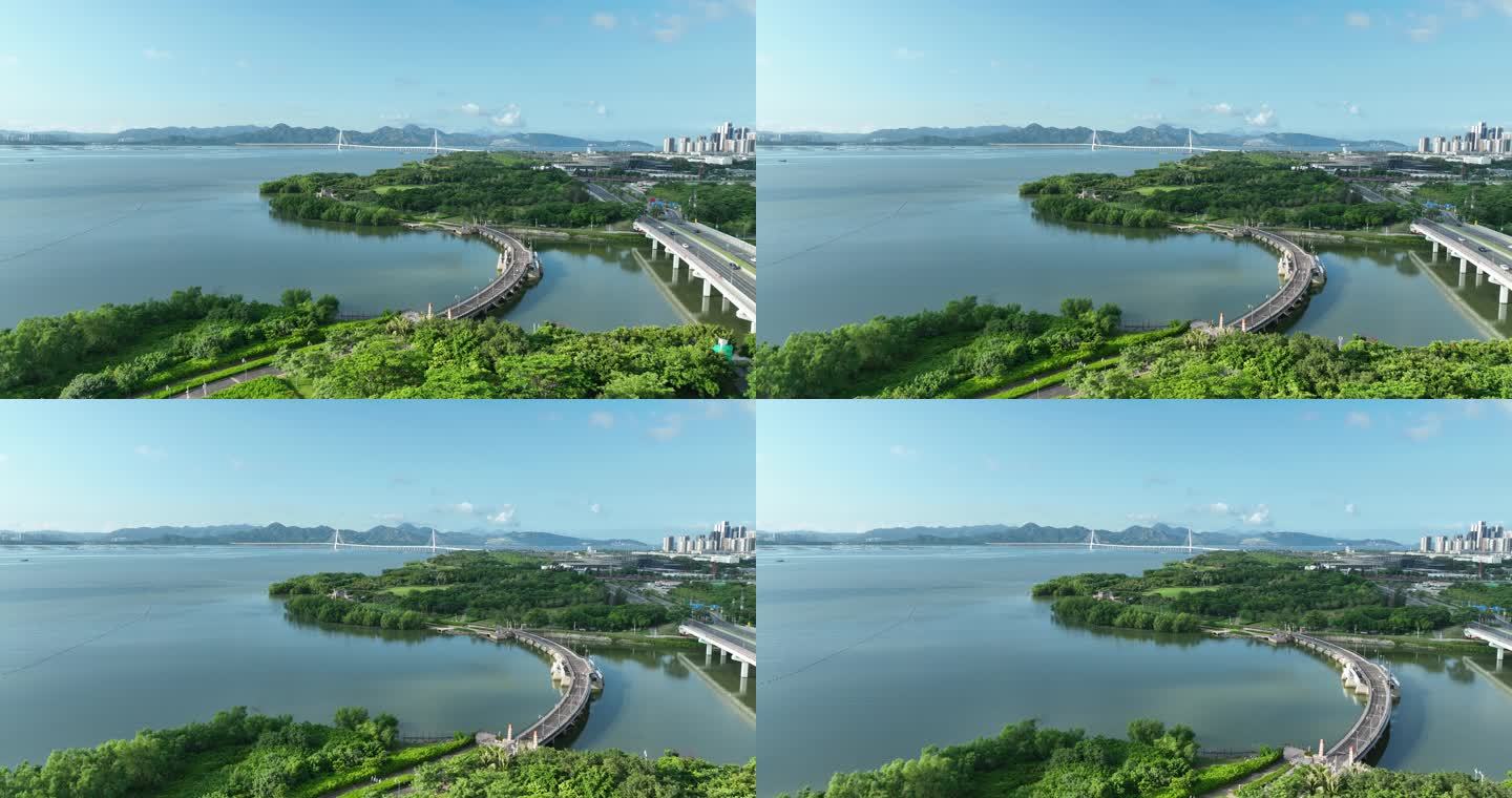 深圳湾 绿美 深圳湾大桥 红树林4k航拍