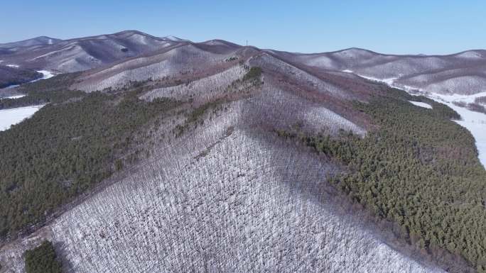 冬季完达山原始森林