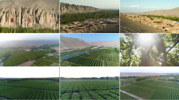 新疆吐鲁番葡萄沟葡萄采摘葡萄架新疆水果