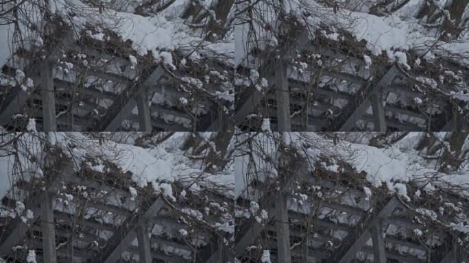 雪崩防护栅栏，保护您的生命免受雪崩