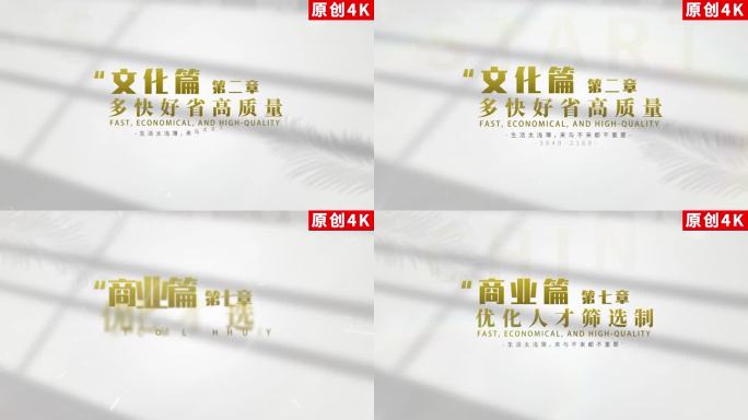 【原创】高端金色标题金融字幕4K