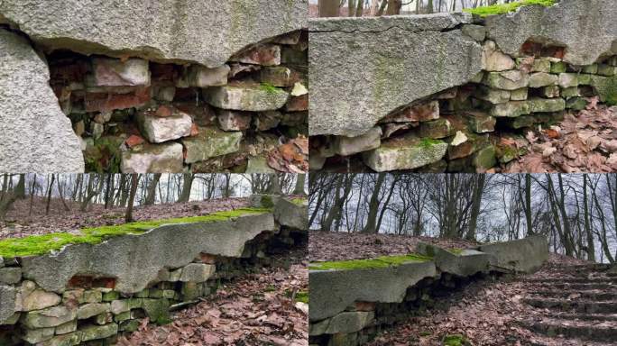 秋天的公园里，长满青苔的古老石阶的废墟。