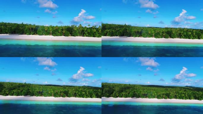 天堂岛上美丽的热带海滩和椰子树海