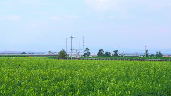 高铁穿过田野远景